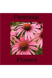 Perennial Flowers