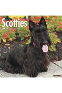 Just Scotties 2019 Wall Calendar (Dog Breed Calendar)