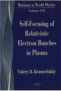 Self-Focusing of Relativistic Electron Bunches in Plasma