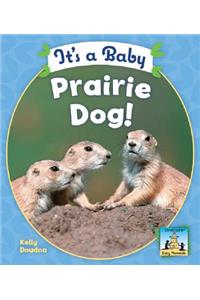 It's a Baby Prairie Dog!