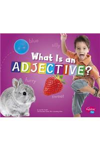 What Is an Adjective?