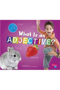 What Is an Adjective?