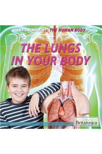 Lungs in Your Body