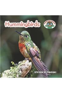 Hummingbirds