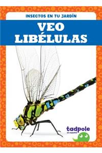 Veo Libelulas (I See Dragonflies)