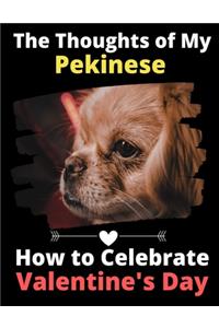 Thoughts of My Pekinese