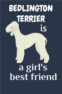 Bedlington Terrier is a girl's best friend