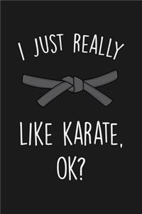 I Just Really Like Karate Ok