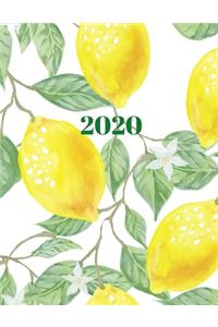 2020