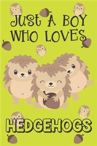 Just A Boy Who Loves Hedgehogs