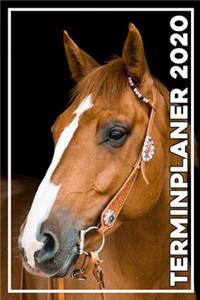 Terminplaner 2020