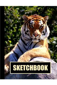 Sketchbook