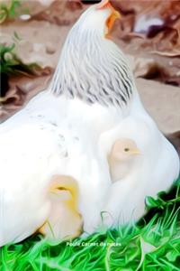 Poule Carnet de notes