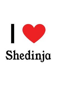 I Love Shedinja: Shedinja Designer Notebook