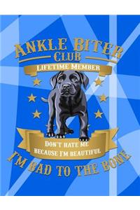 Ankle Biter Club Lifetime Member: Don't Hate Me Because I'm Beautiful, I'm Bad to the Bone - Black Labrador Retriever Puppy