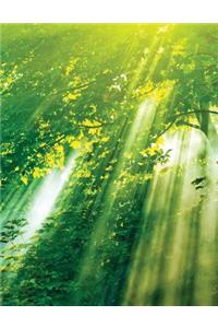 Sunlight Through Leaves Sketchbook