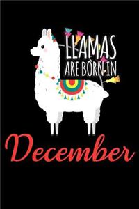 Llamas Are Born in December: Blank Lined Journal