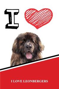 Leonbergers