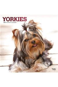 Yorkshire Terriers 2020 Square Foil