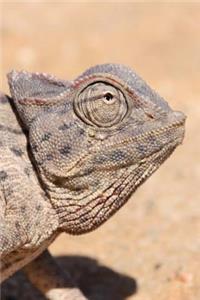 Chameleon in Africa Journal