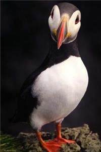 Puffin Notebook