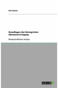 Grundlagen der biologischen Abwasserreinigung