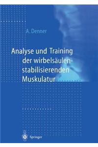 Analyse Und Training Der Wirbelsäulenstabilisierenden Muskulatur