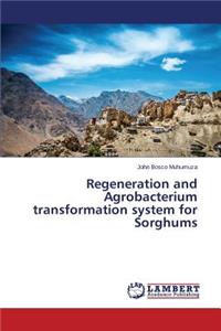 Regeneration and Agrobacterium transformation system for Sorghums