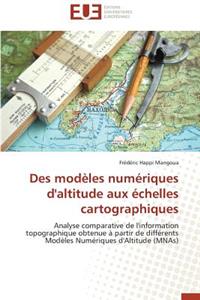 Des Modèles Numériques d'Altitude Aux Échelles Cartographiques