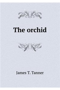 The Orchid