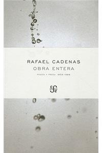 Obra Entera