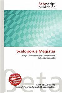 Sceloporus Magister