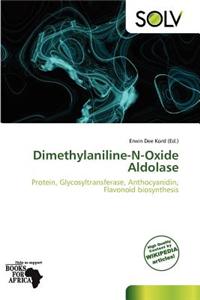 Dimethylaniline-N-Oxide Aldolase