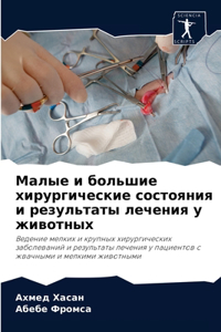 Малые и большие хирургические состояния и