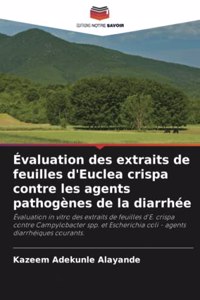 Évaluation des extraits de feuilles d'Euclea crispa contre les agents pathogènes de la diarrhée