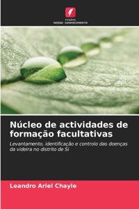 Núcleo de actividades de formação facultativas