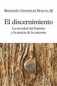 El discernimiento: La novedad del Espiritu y la astucia de la carcoma
