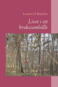 Livet i ett brukssamhalle