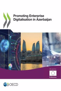 Promoting enterprise digitalisation in Azerbaijan