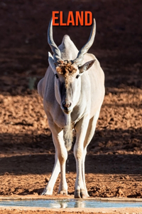 Eland