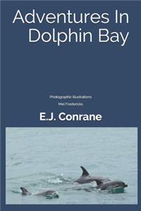 Adventures In Dolphin Bay