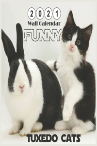 Tuxedo Cats FUNNY