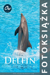 Delfin: Fotoksi&#261;&#380;ka