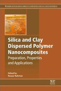 Silica and Clay Dispersed Polymer Nanocomposites