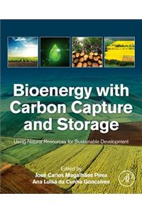 Bioenergy with Carbon Capture and Storage