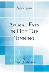 Animal Fats in Hot Dip Tinning (Classic Reprint)