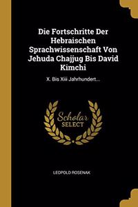 Die Fortschritte Der Hebraischen Sprachwissenschaft Von Jehuda Chajjug Bis David Kimchi