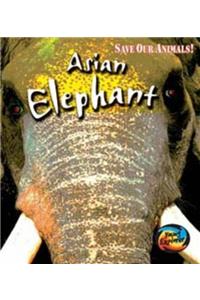 Save the Asian Elephant