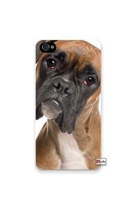 Memorial of Daniel S. Richardson