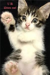 U R Kitten Me!